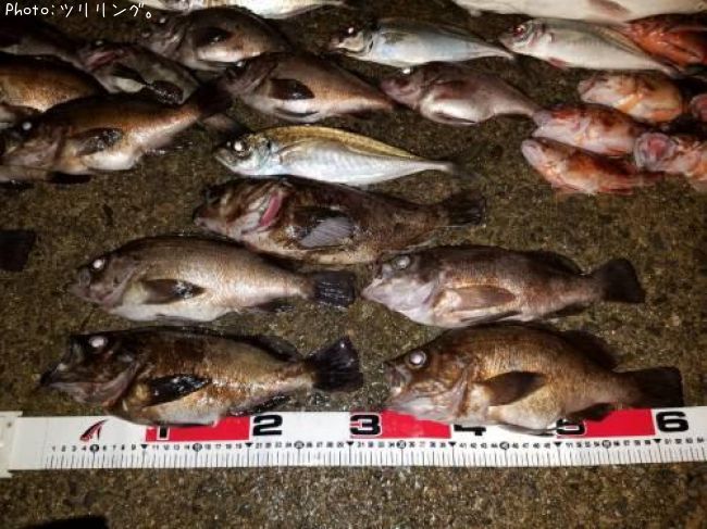 �ܻ�����ã������