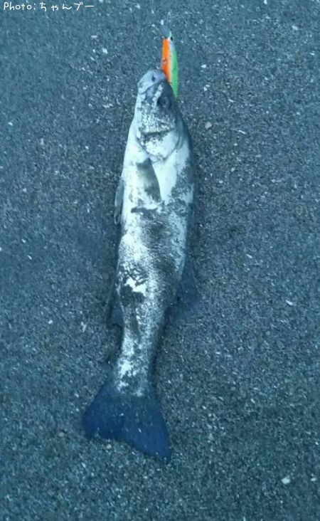 �����Х�