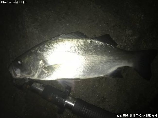 �ҥ饻����