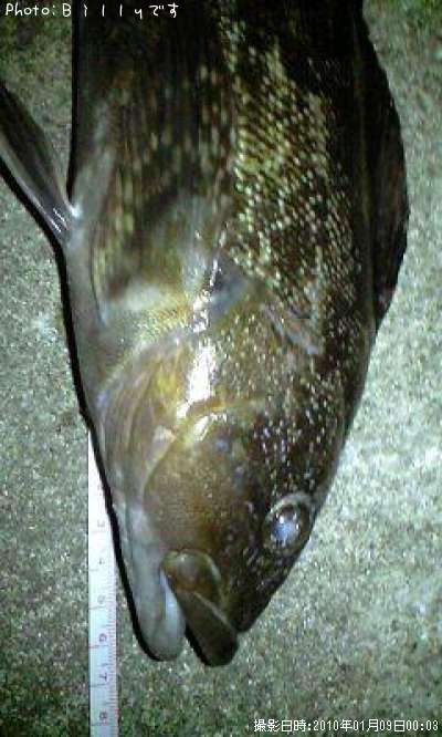 �����ʥ�