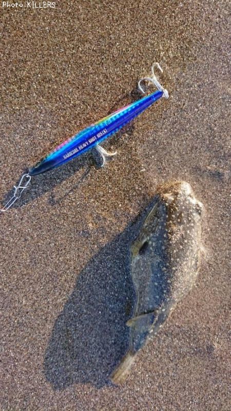 �����ե�