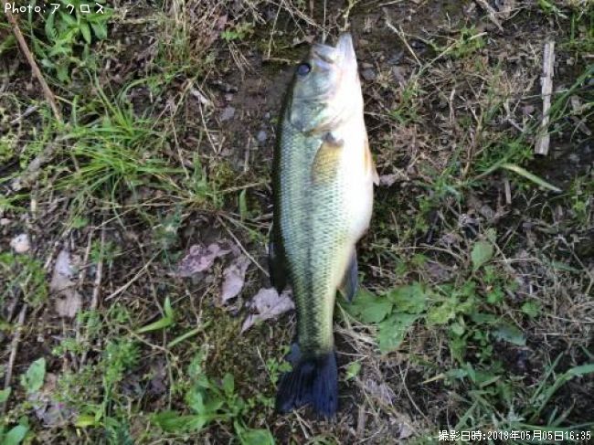 �顼���ޥ����Х�