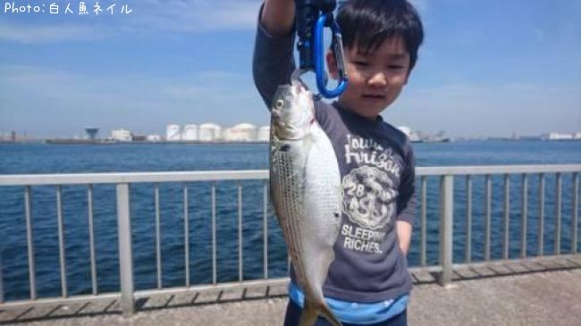 ���Υ����ʤ��Ϥ���