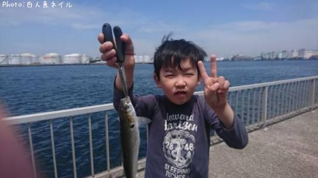 ���Υ����ʤ��Ϥ���