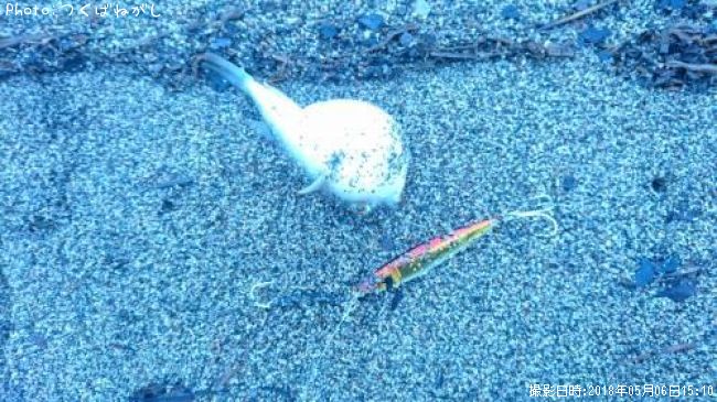 �����ե�