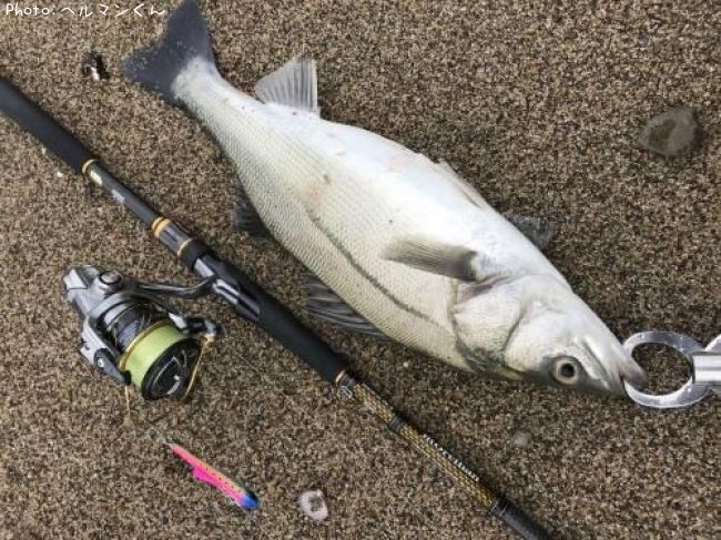 �����Х�