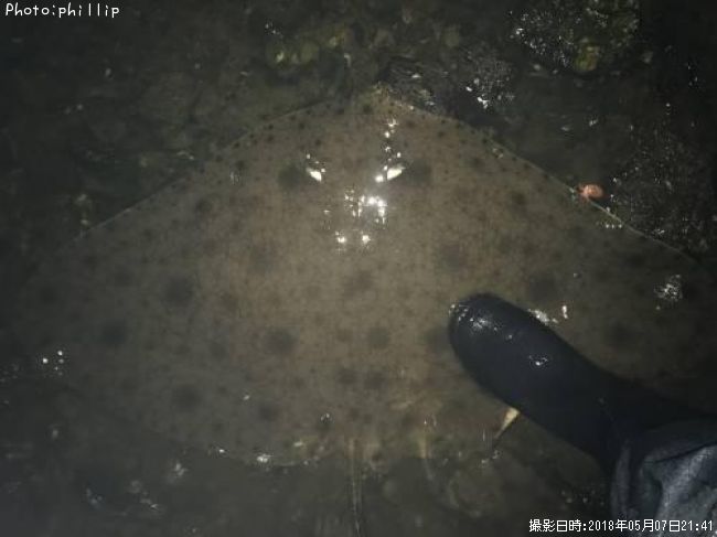 �ĥХ�������