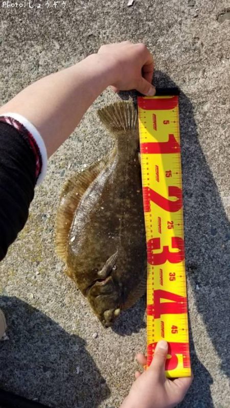 �ޥ����쥤