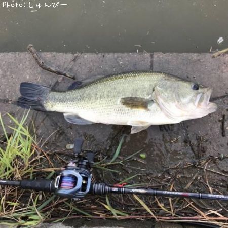 �֥�å��Х�