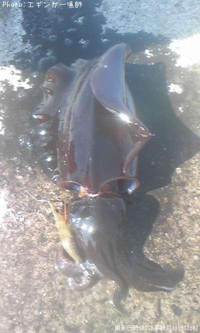 �����ꥤ��