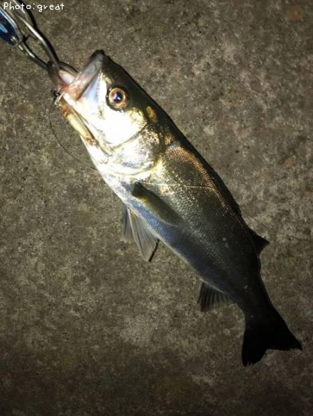 �����Х�