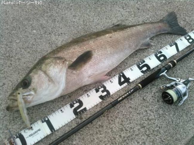 �����Х�