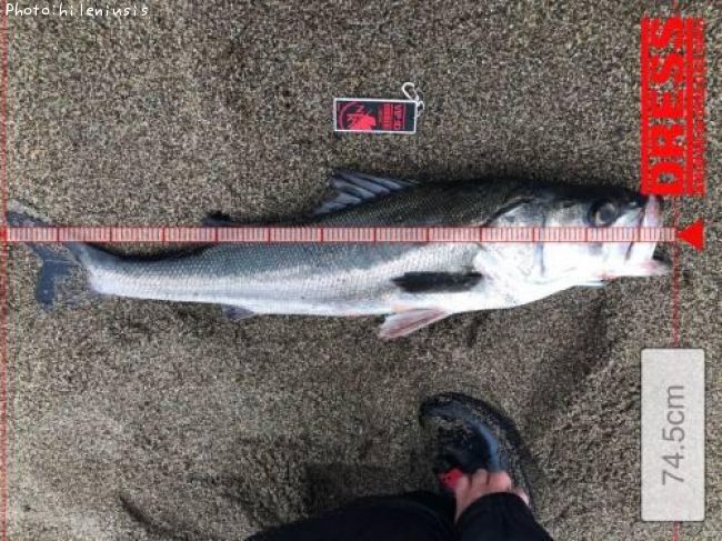 �����Х�