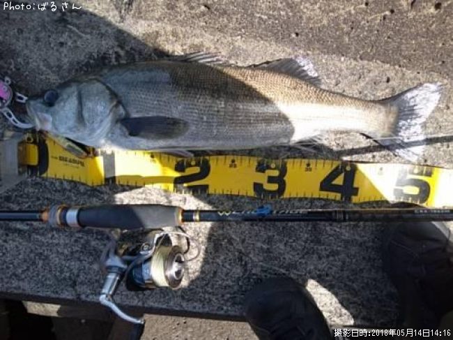 �����Х�