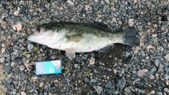 �顼���ޥ����Х�