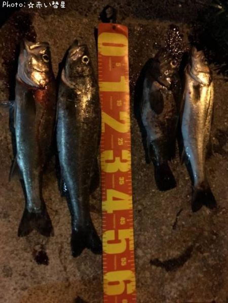 �����Х�