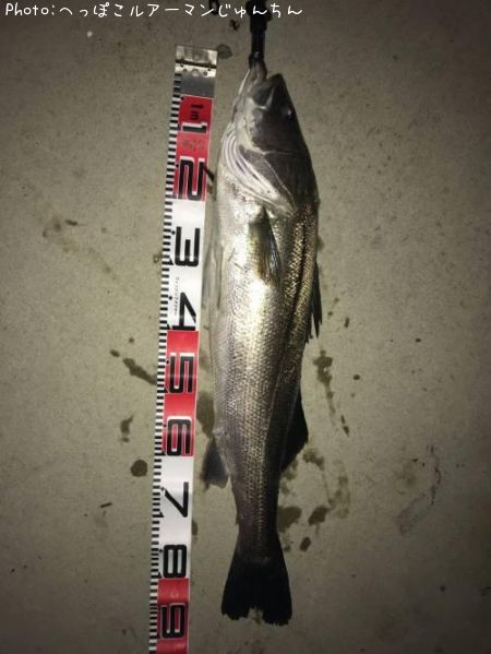 �����Х�