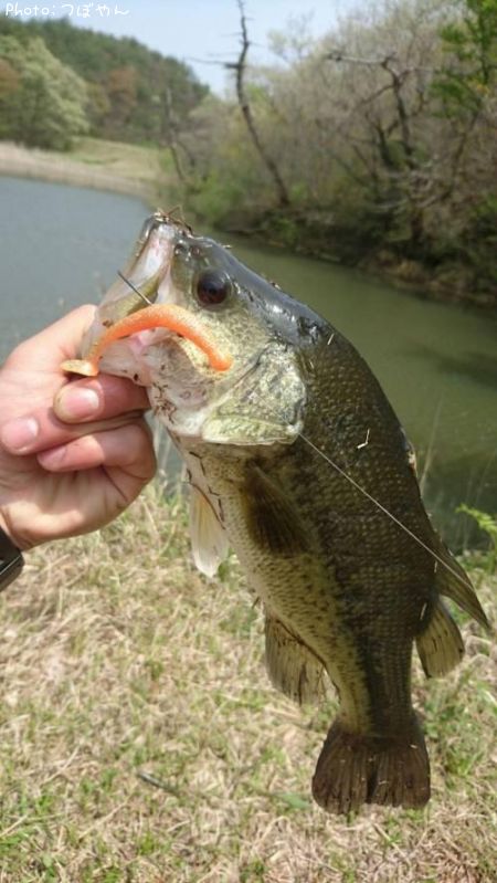 �֥�å��Х�