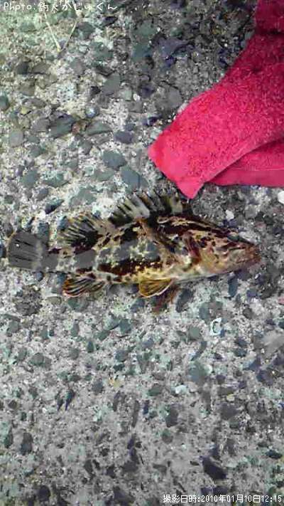 �����Υ���Х�