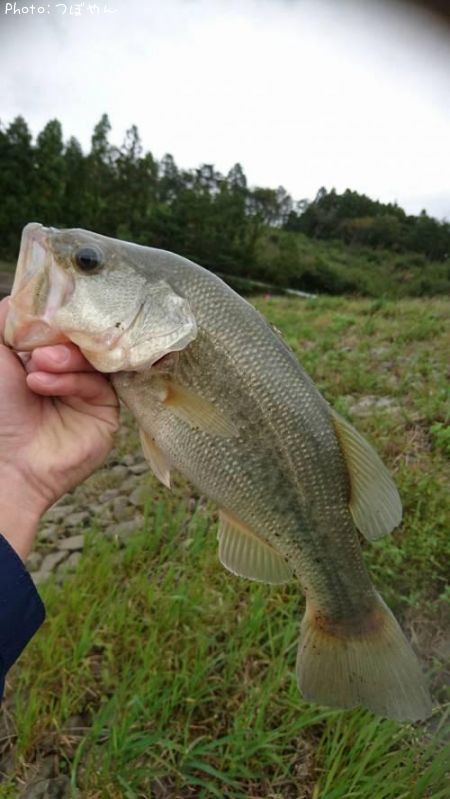 �֥�å��Х�