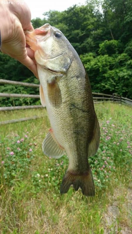 �֥�å��Х�