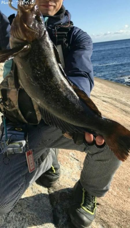 �����ʥ�