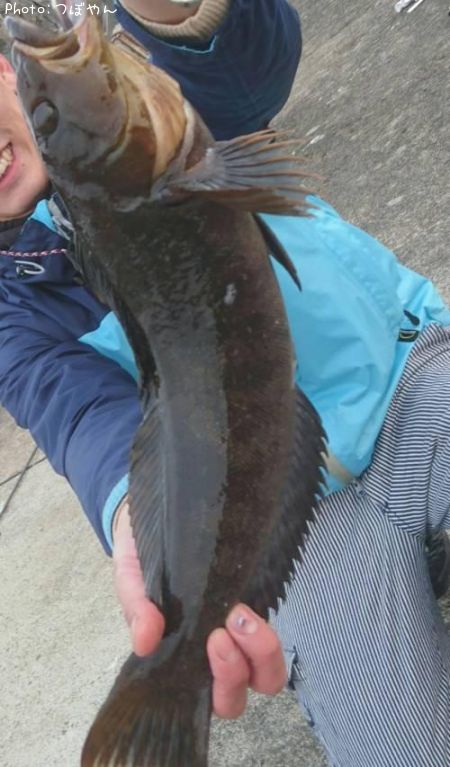 �����ʥ�