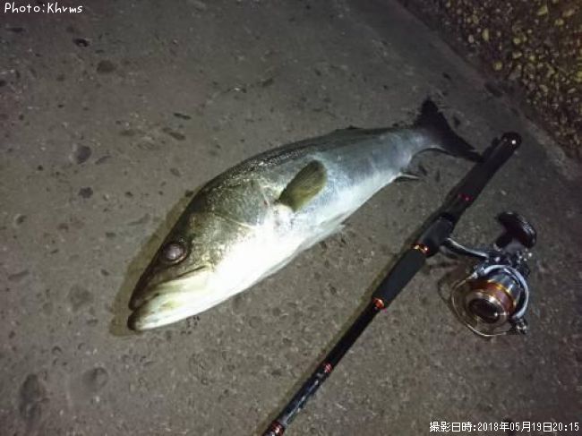 �����Х�