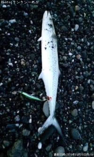 �������ʥ�����