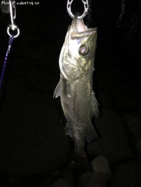 �����Х�