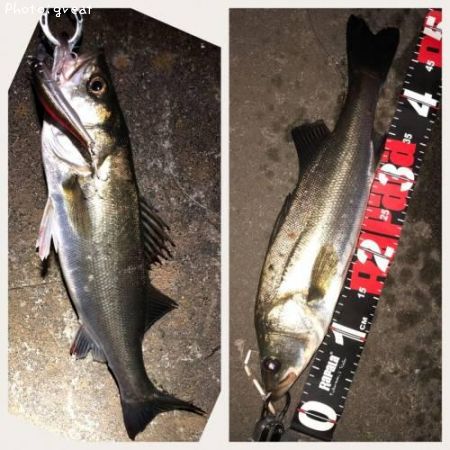 �����Х�