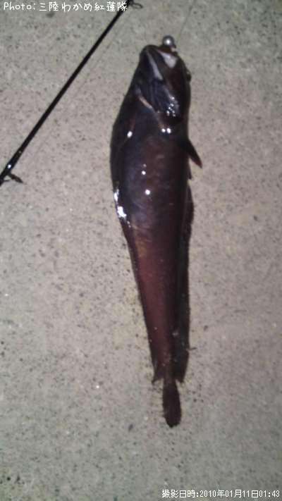 �������������ʥ�