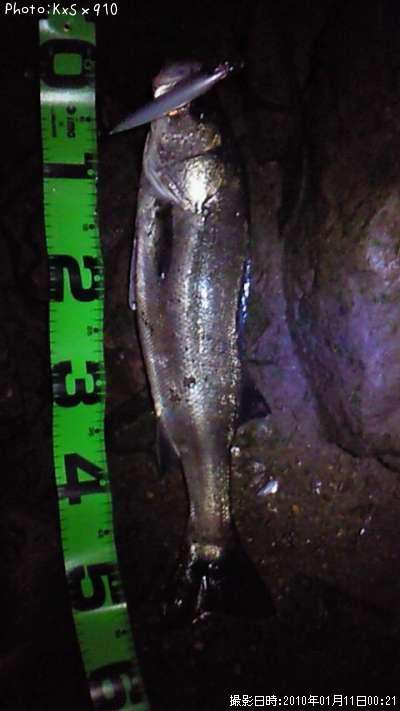 �����Х�