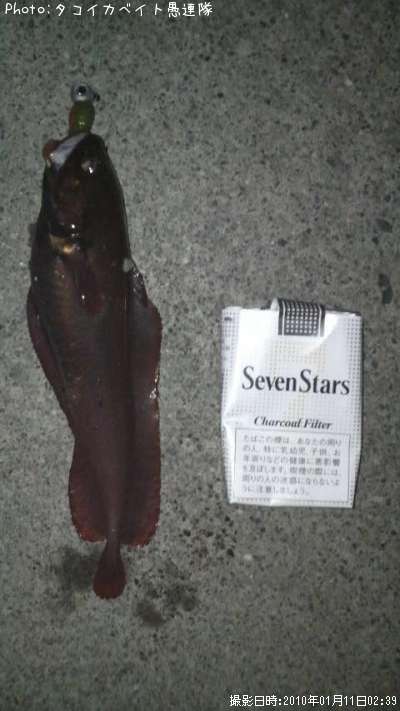 �������������ʥ�