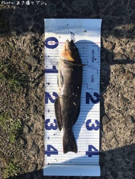 �����ʥ�