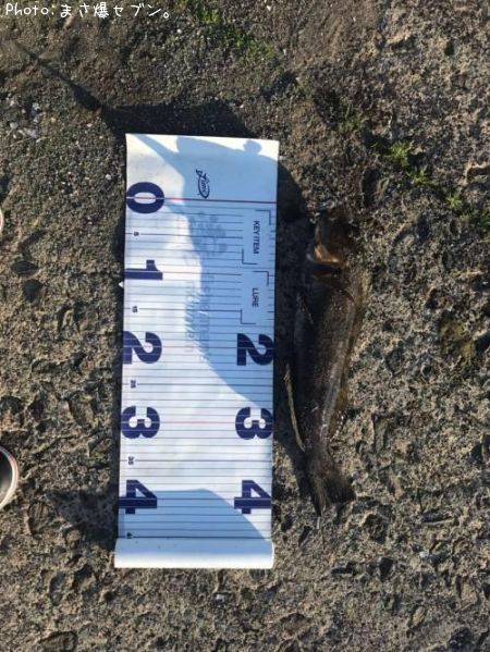 �����ʥ�