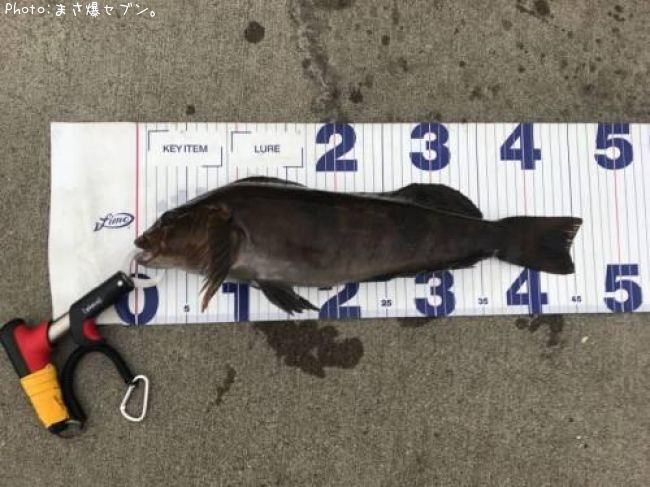 �����ʥ�