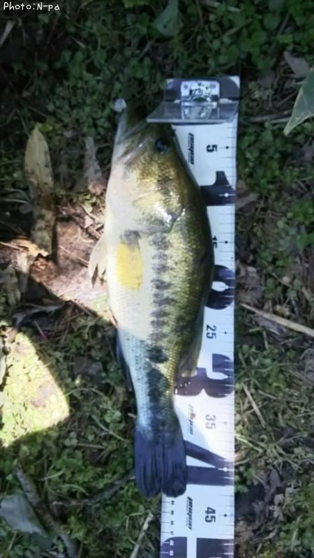 �֥�å��Х�