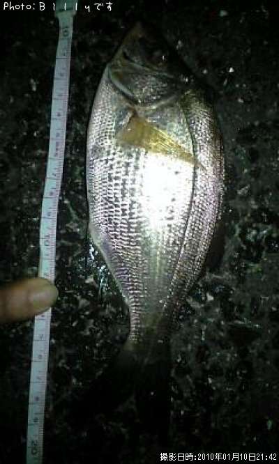 �����ʥ�