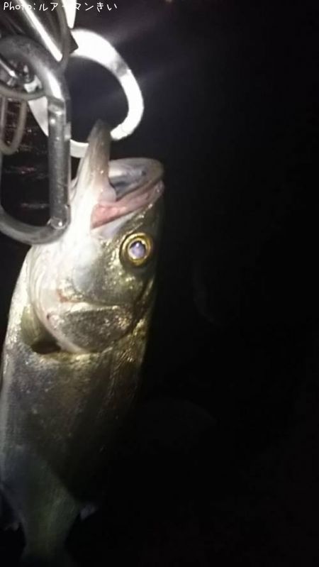 �����Х�