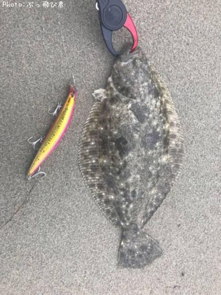 �ҥ��ʥ�����