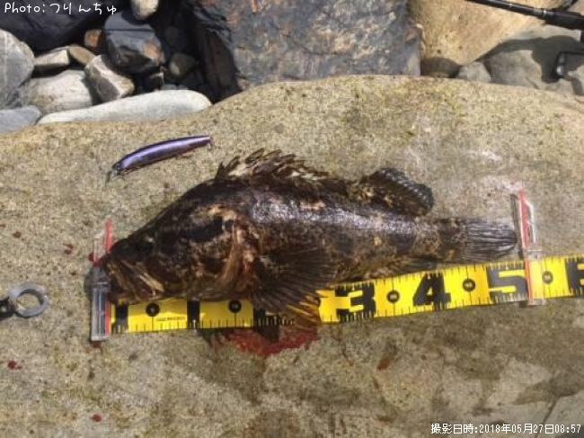 �����Υ���Х�