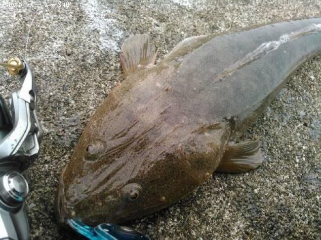 �ƣ��������