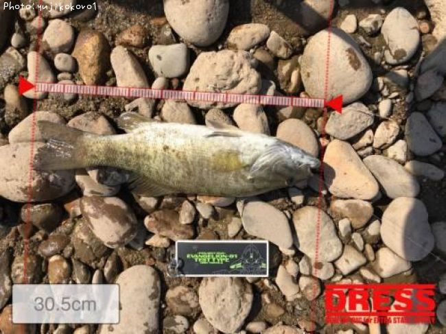 �֥�å��Х�