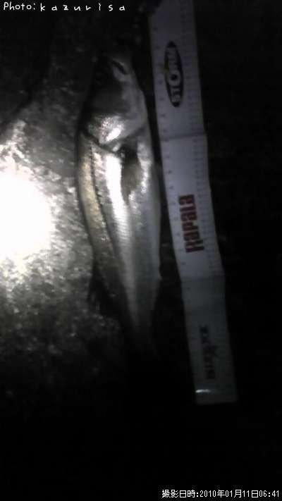 �����Х�