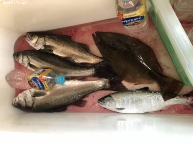 �����Х�