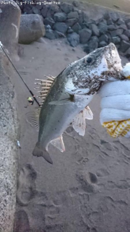 �����Х�