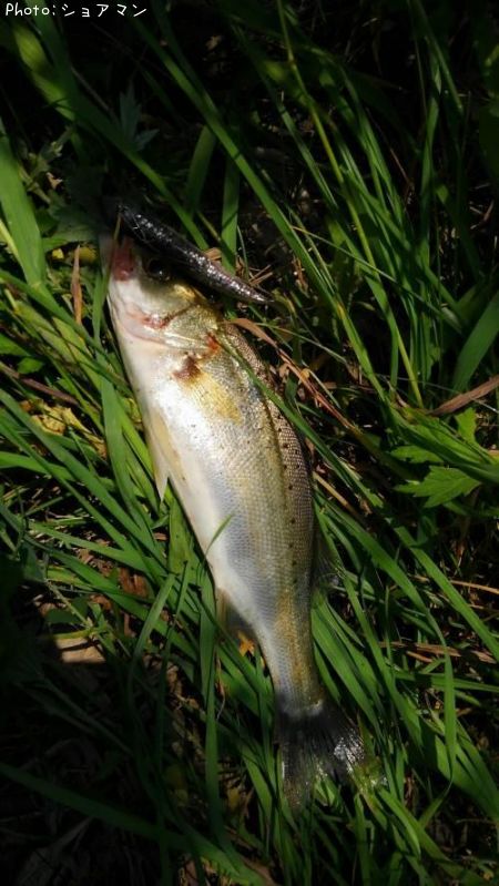 �����Х�