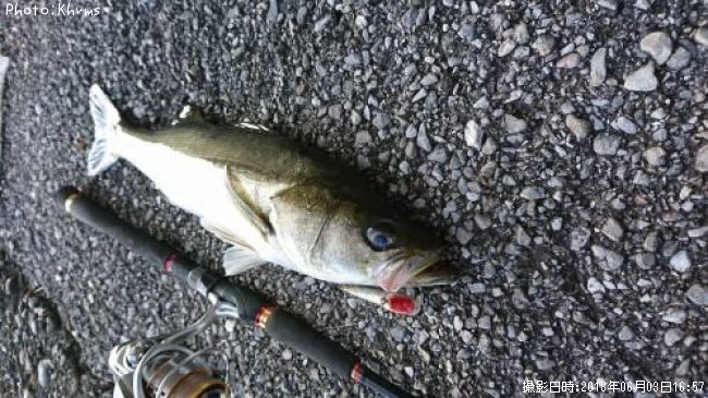 �����Х�