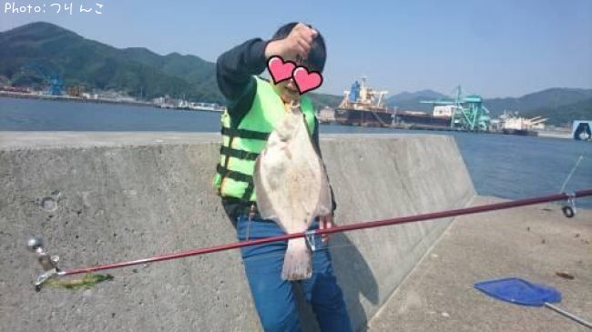 ���쥤